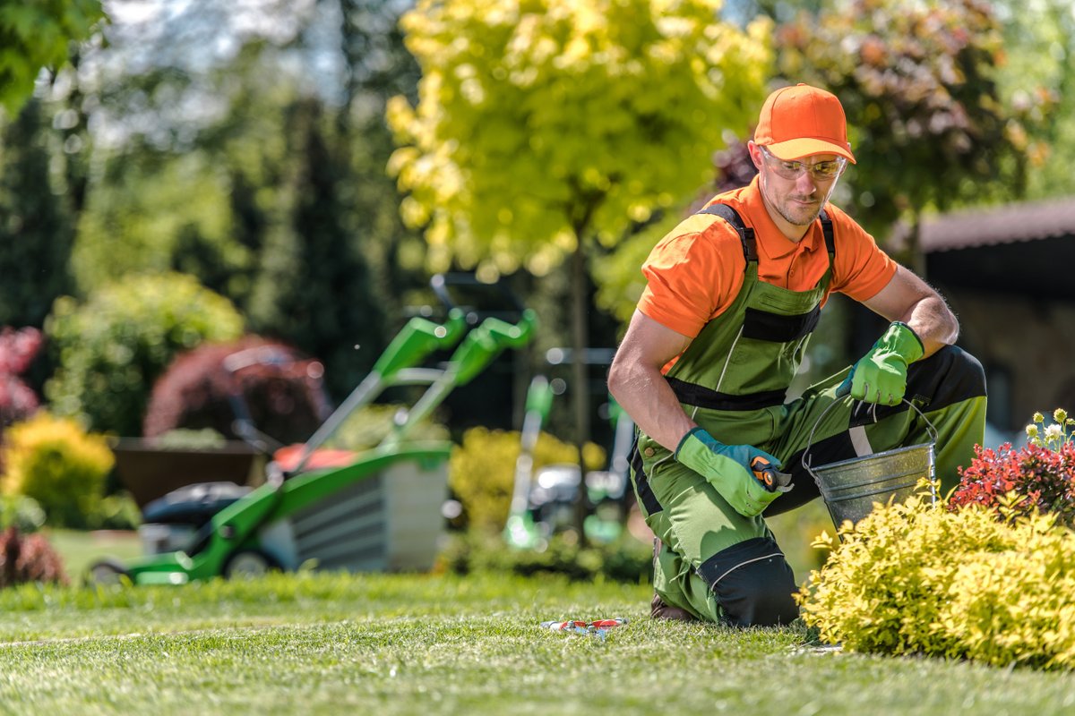 Ponderosa Ventures Landscaping. Marin County's Expert.